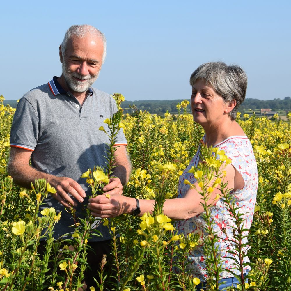 Daniel et Mireille Rouillard Producteurs d'huiles végétales françaises