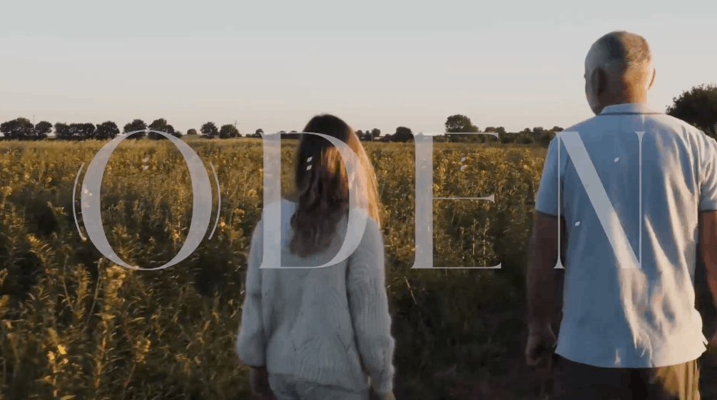 Capture d'écran Oden