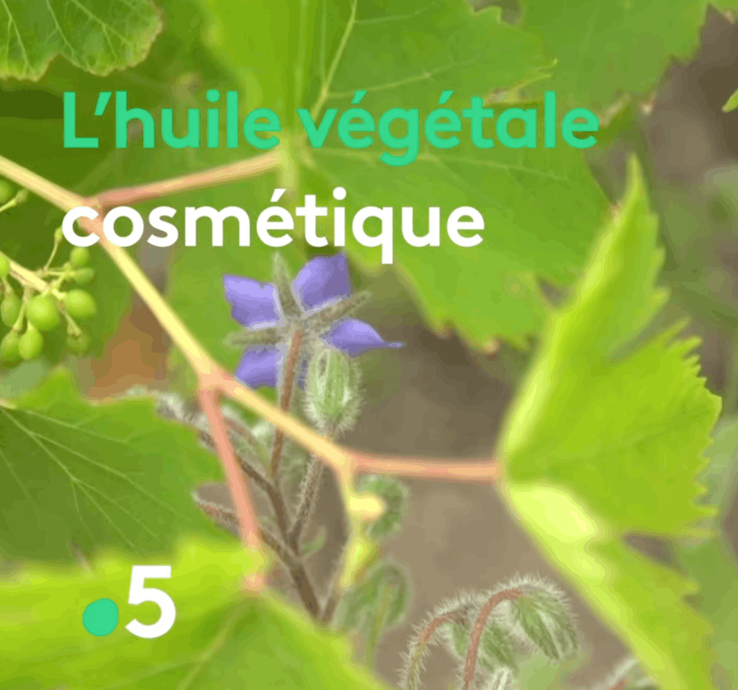 Capture d'écran Silence ça pousse